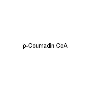 ρ-Coumadin CoA